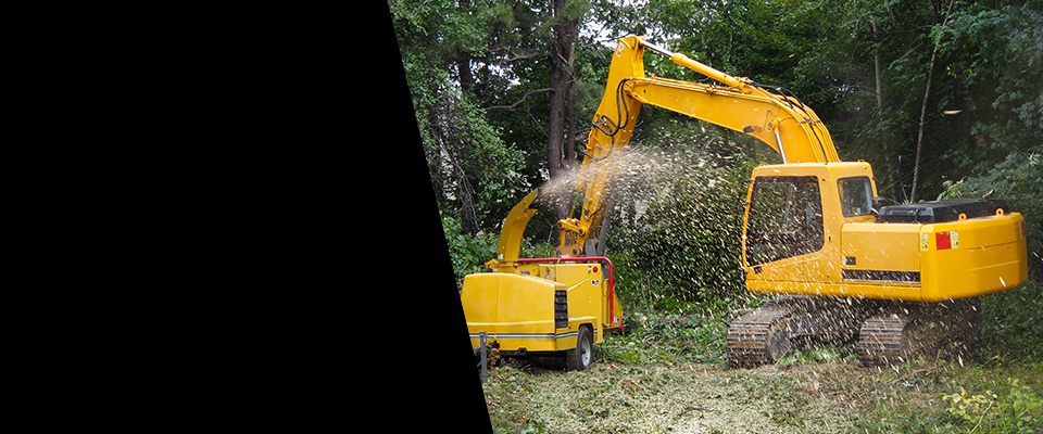 Land Clearing & Brush Removal