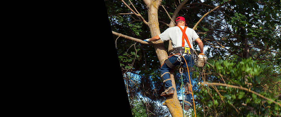 Call to Schedule a FREE Estimate